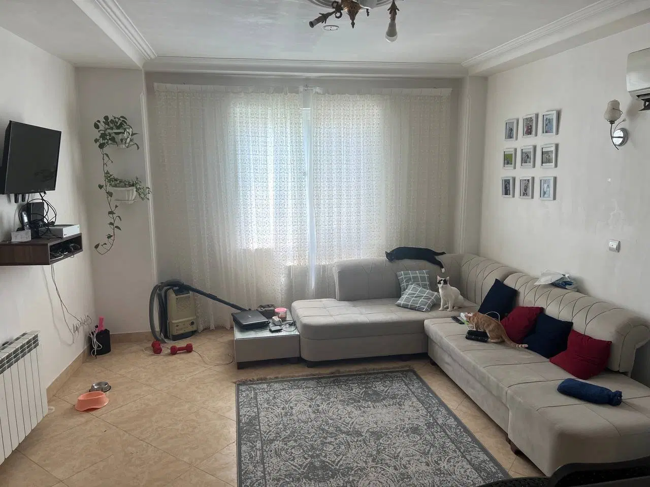 تصویر املاک 79695