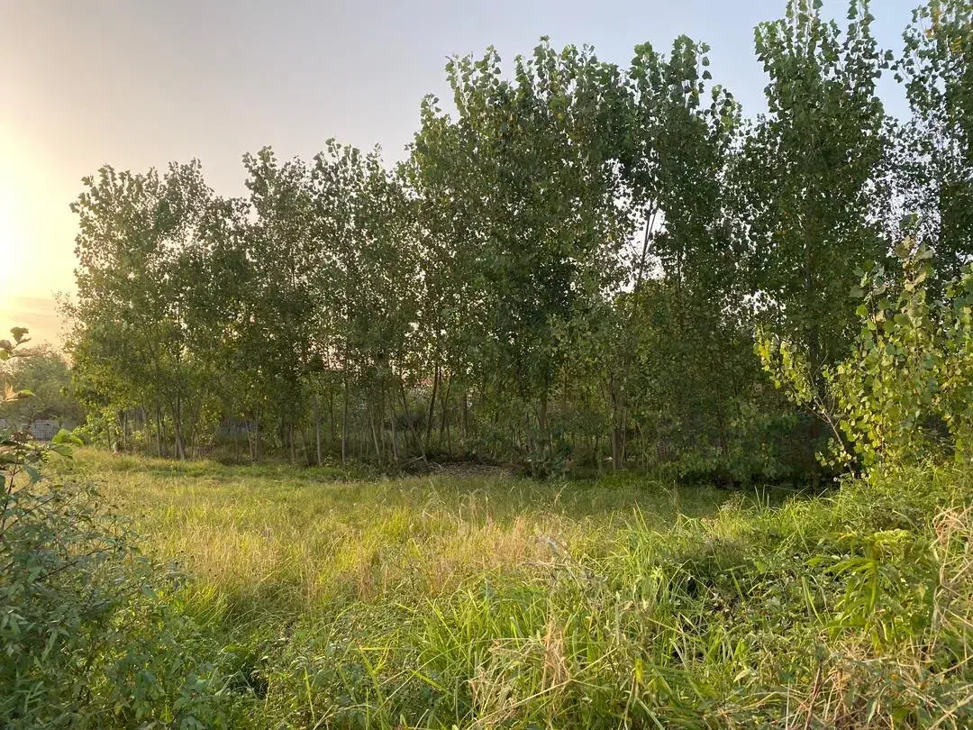 تصویر املاک 24938