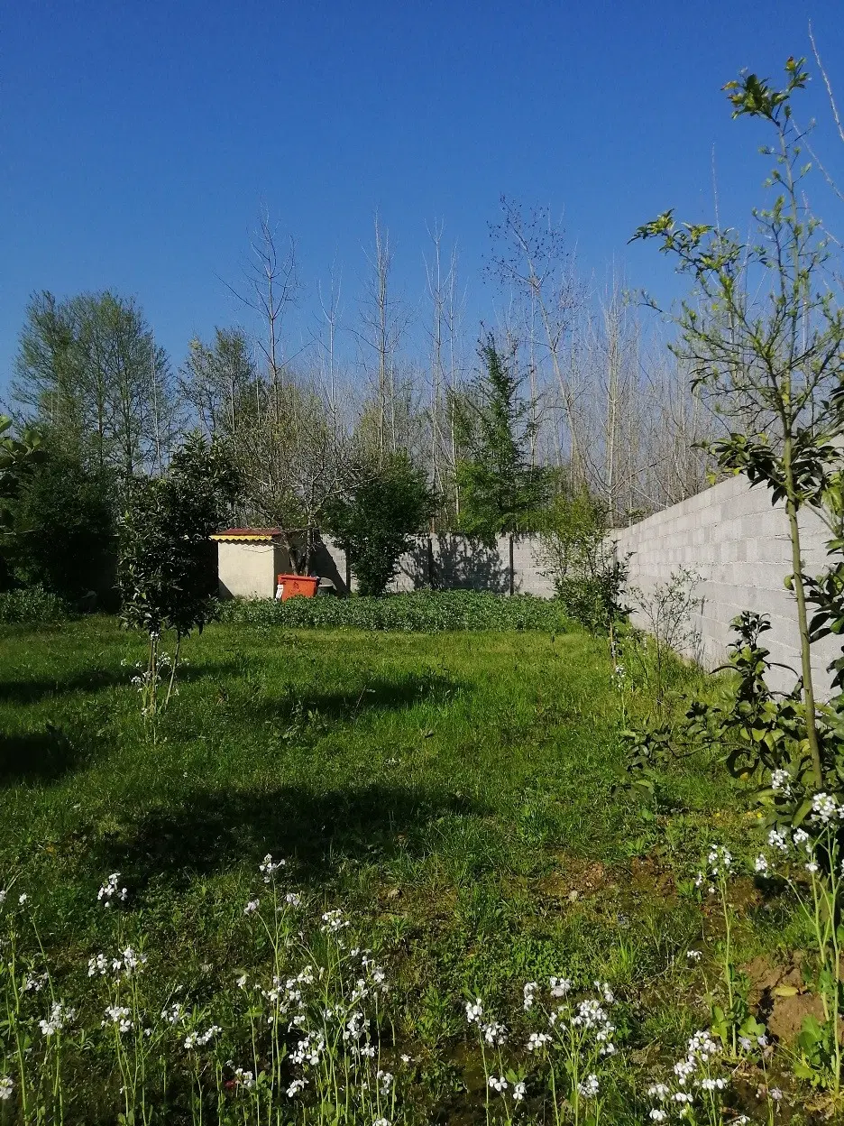 تصویر املاک 123210