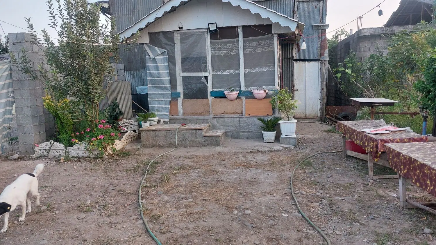 تصویر املاک 113129