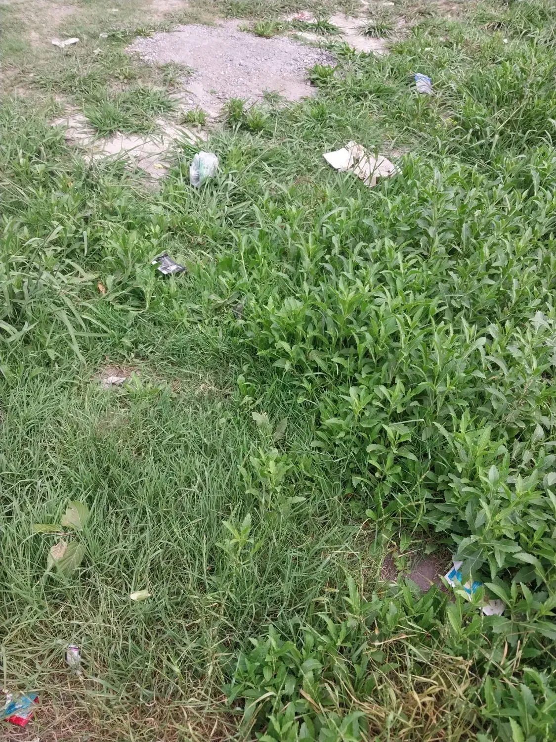 تصویر املاک 11689