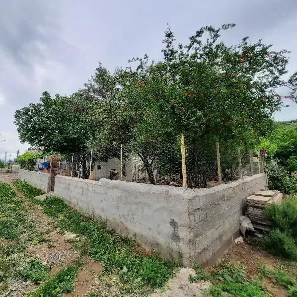 تصویر املاک 8748