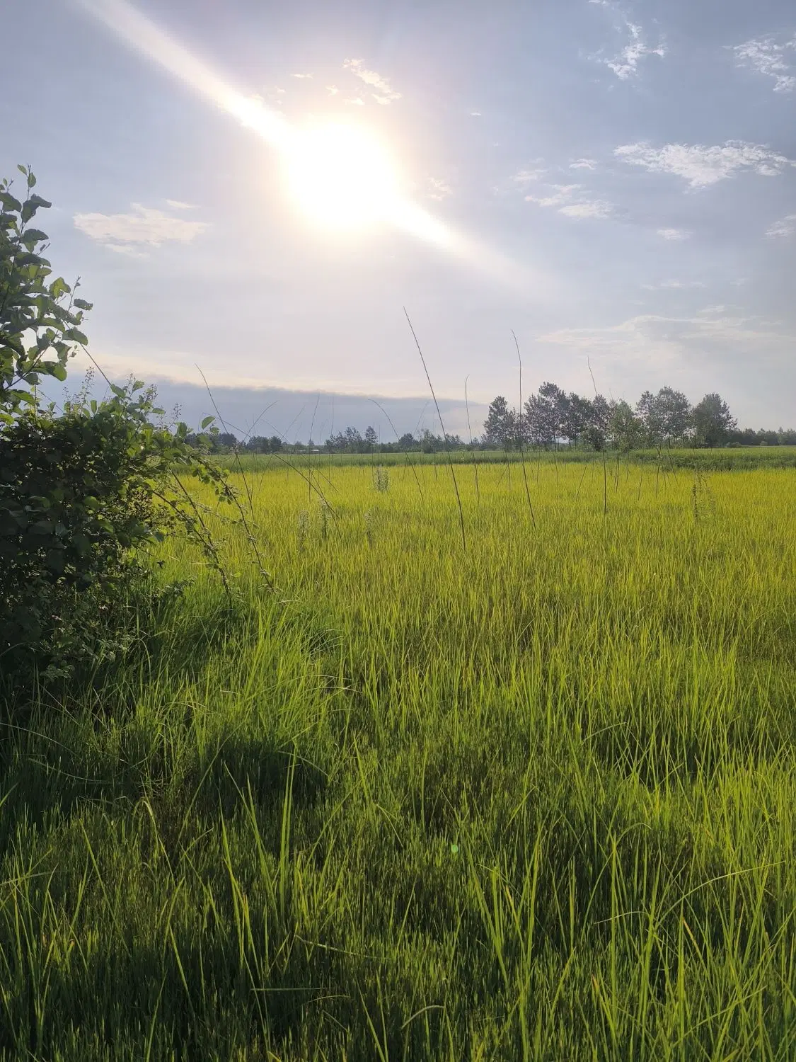 تصویر املاک 118327