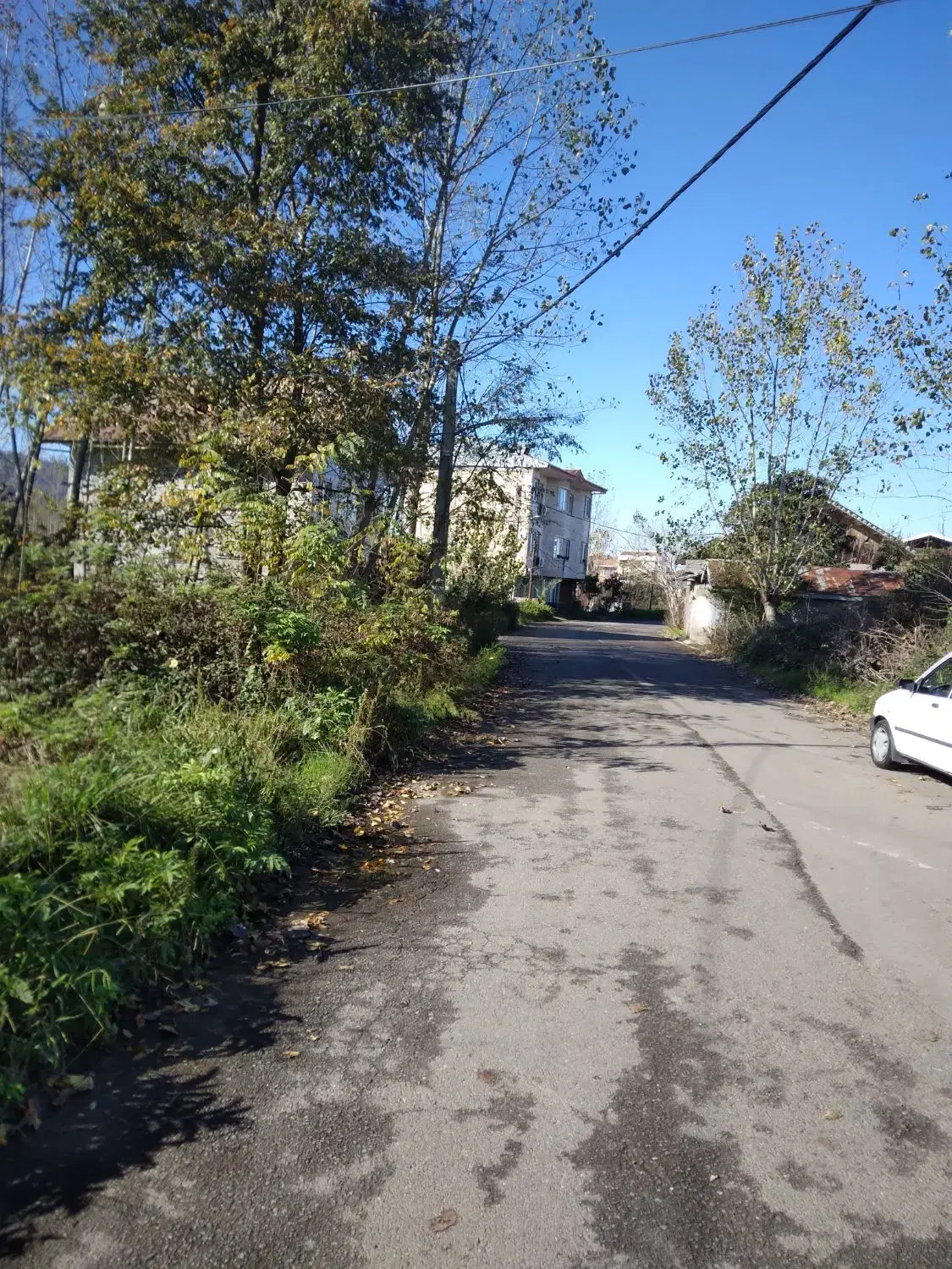 تصویر املاک 55311