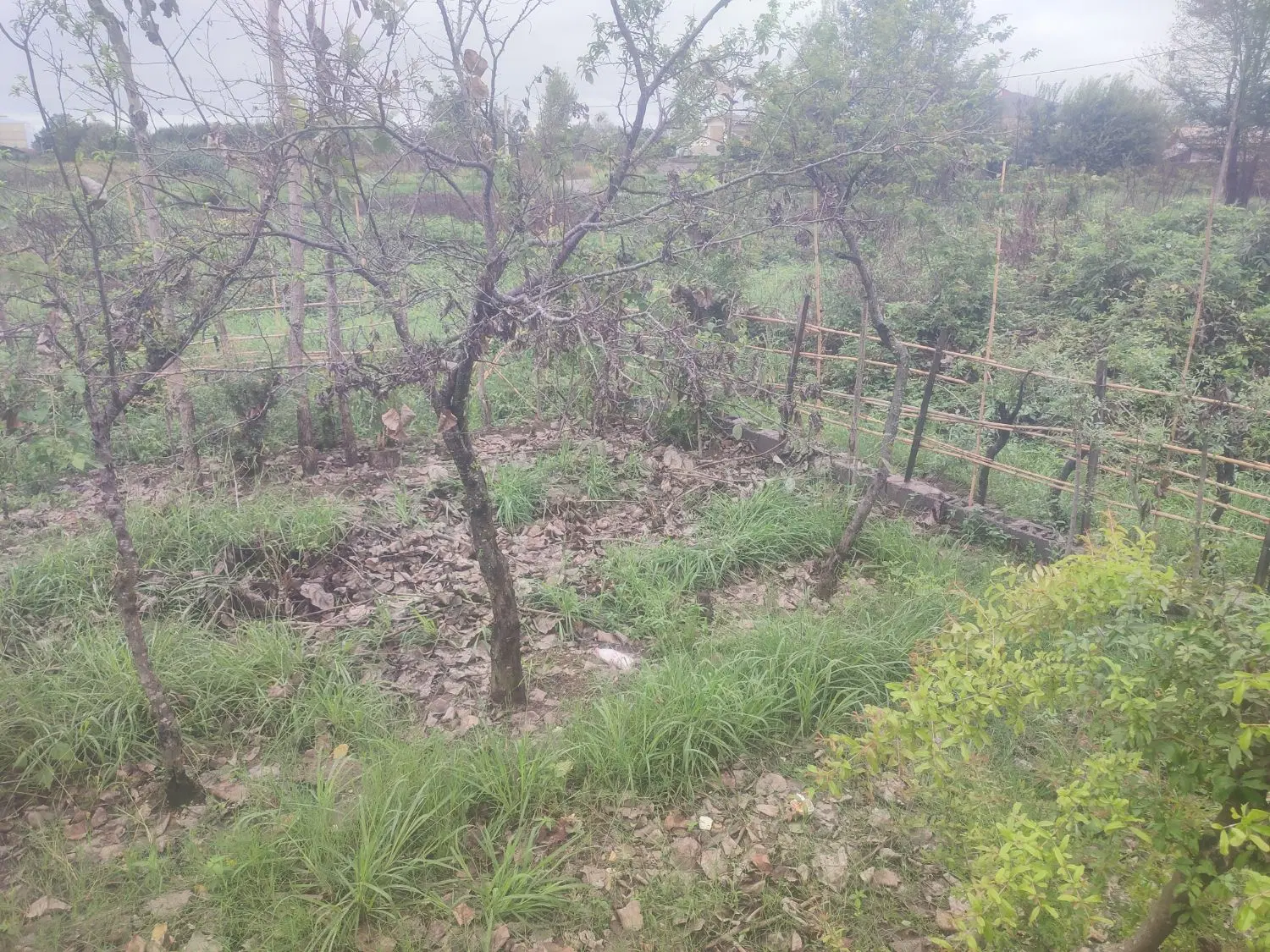تصویر املاک 143795