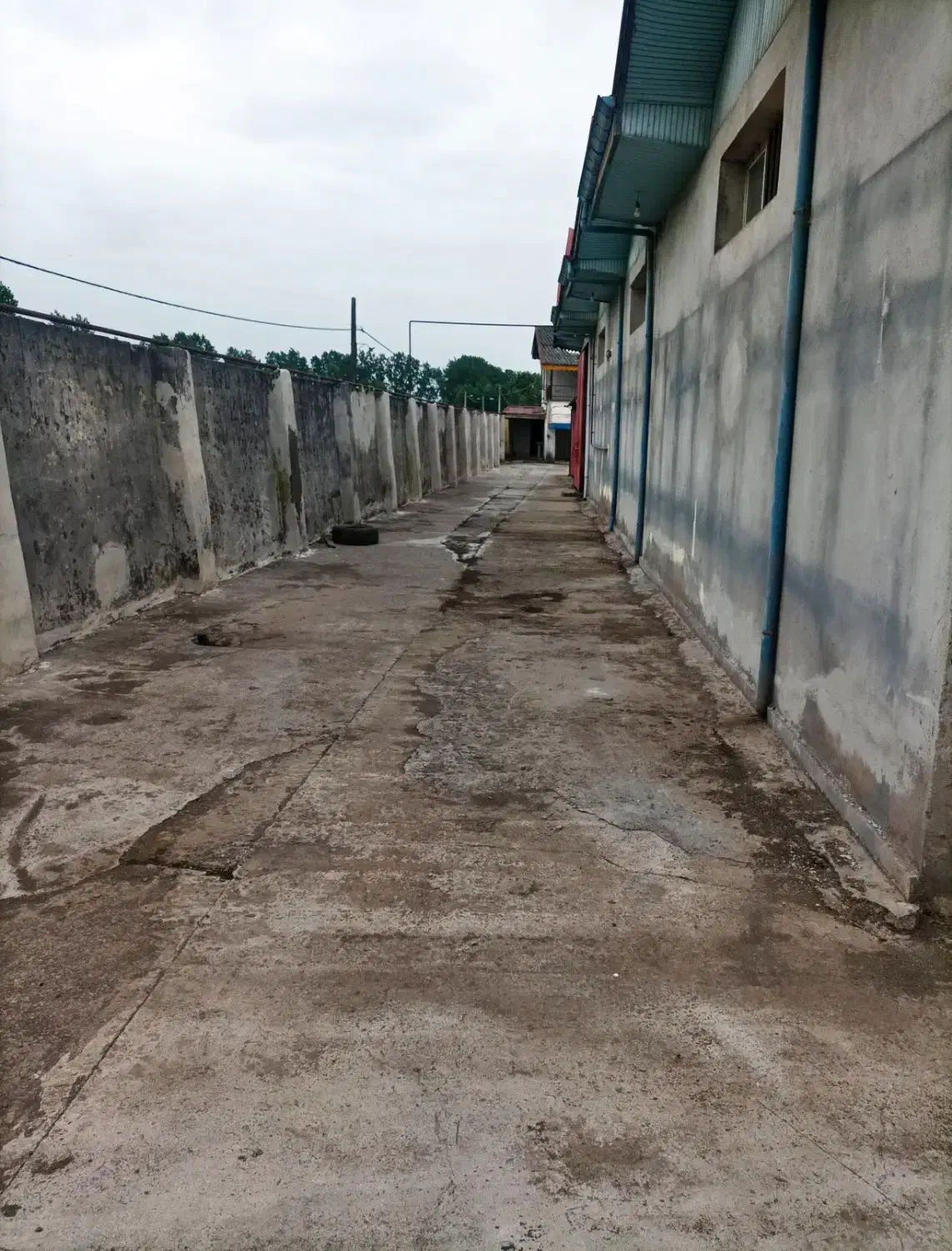 تصویر املاک 21725