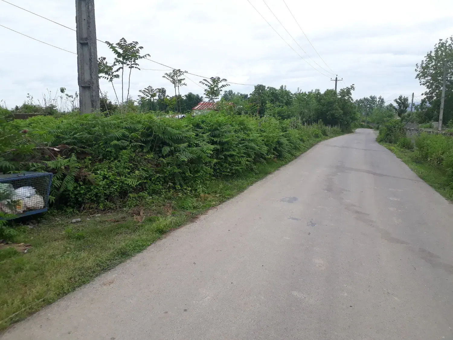 تصویر املاک 38732