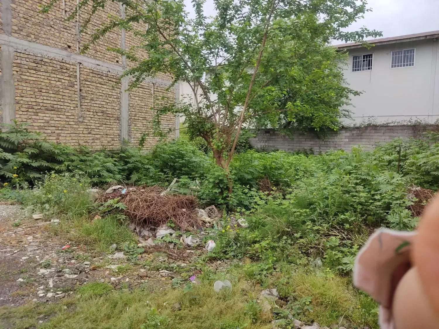 تصویر املاک 10053