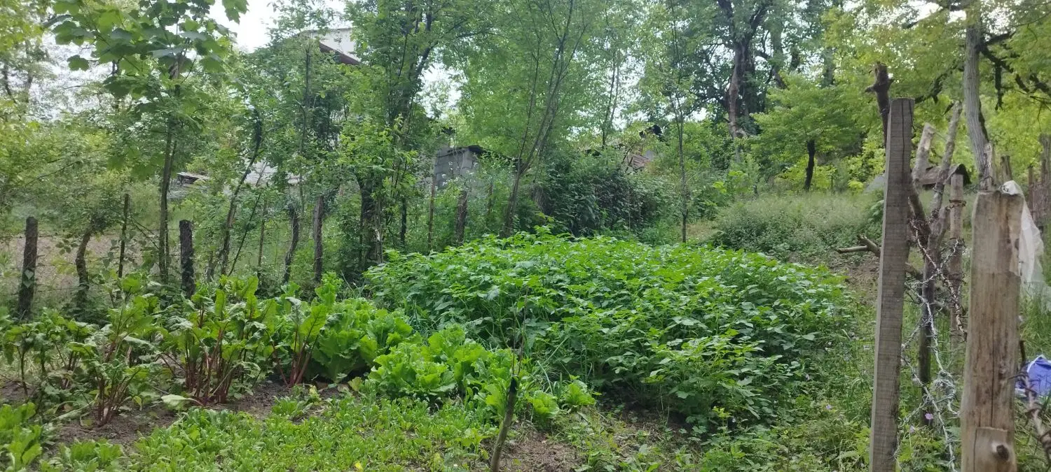 تصویر املاک 65941