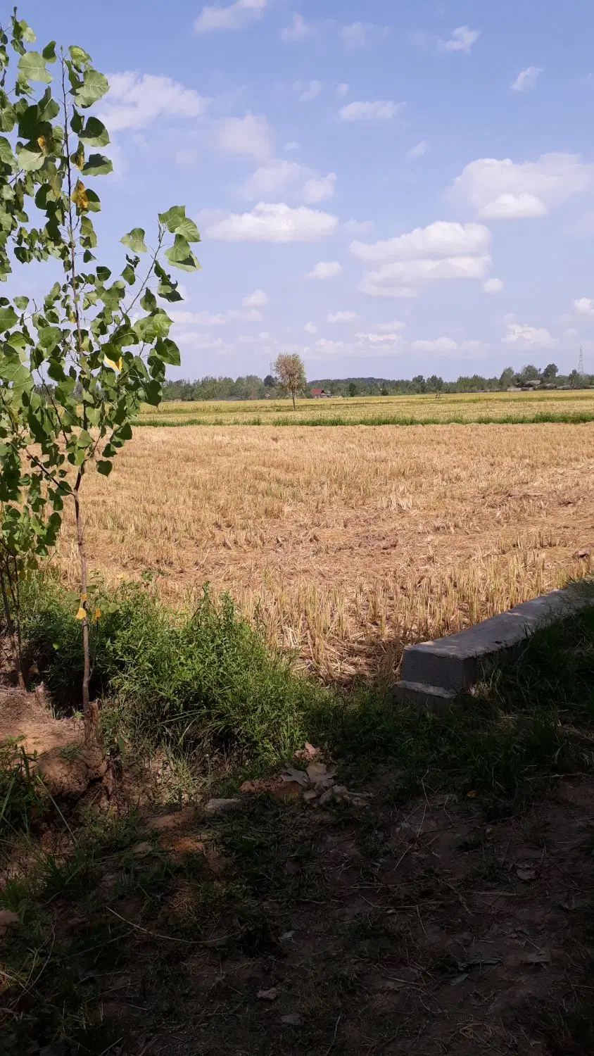 تصویر املاک 121397