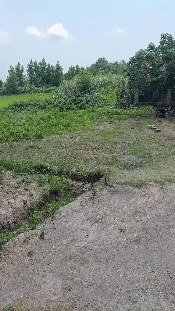 تصویر املاک 44752