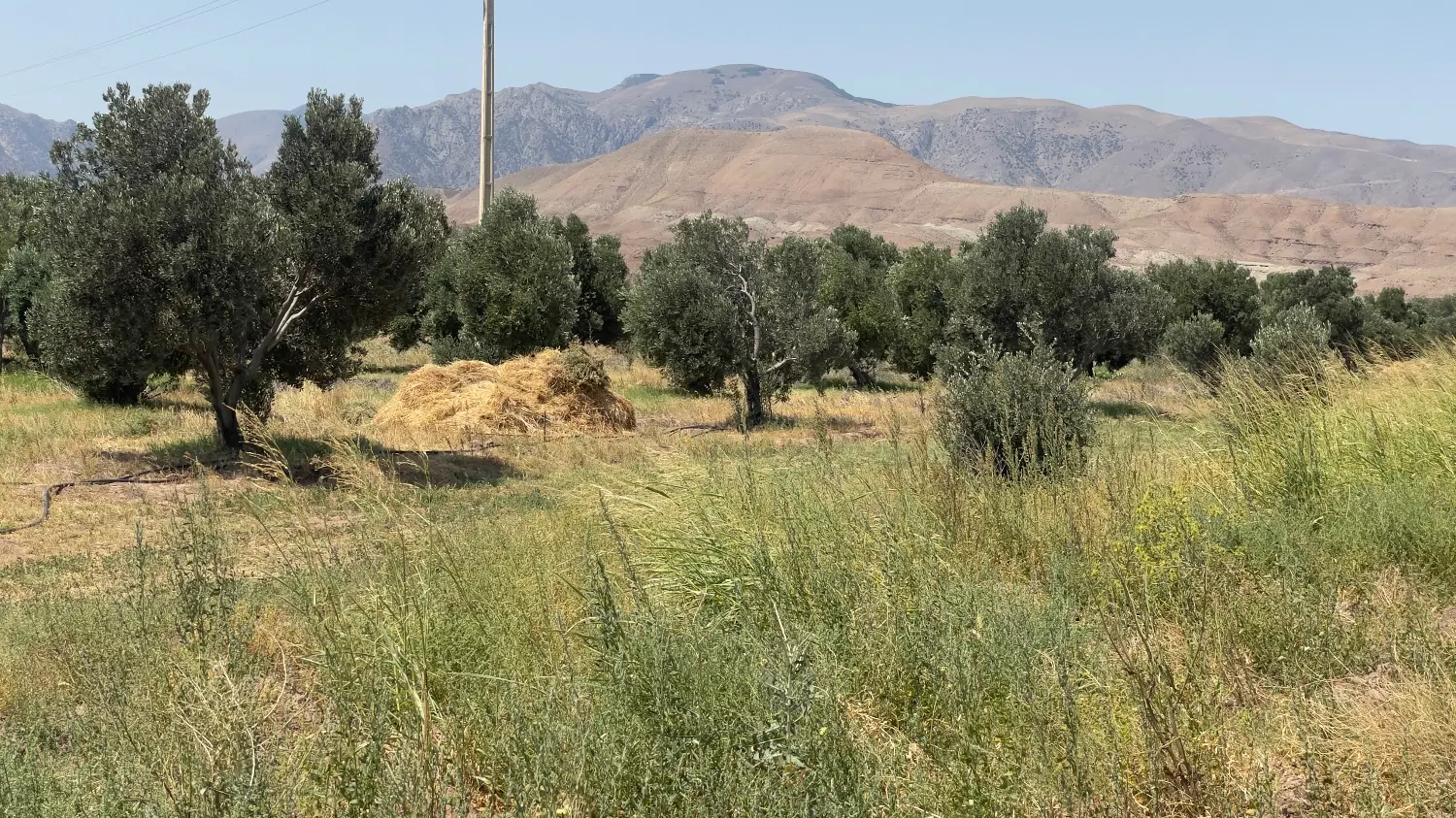 تصویر املاک 110998