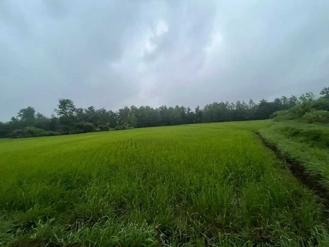 تصویر املاک 113615
