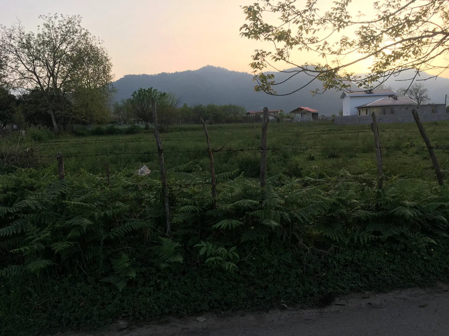 تصویر املاک 135581