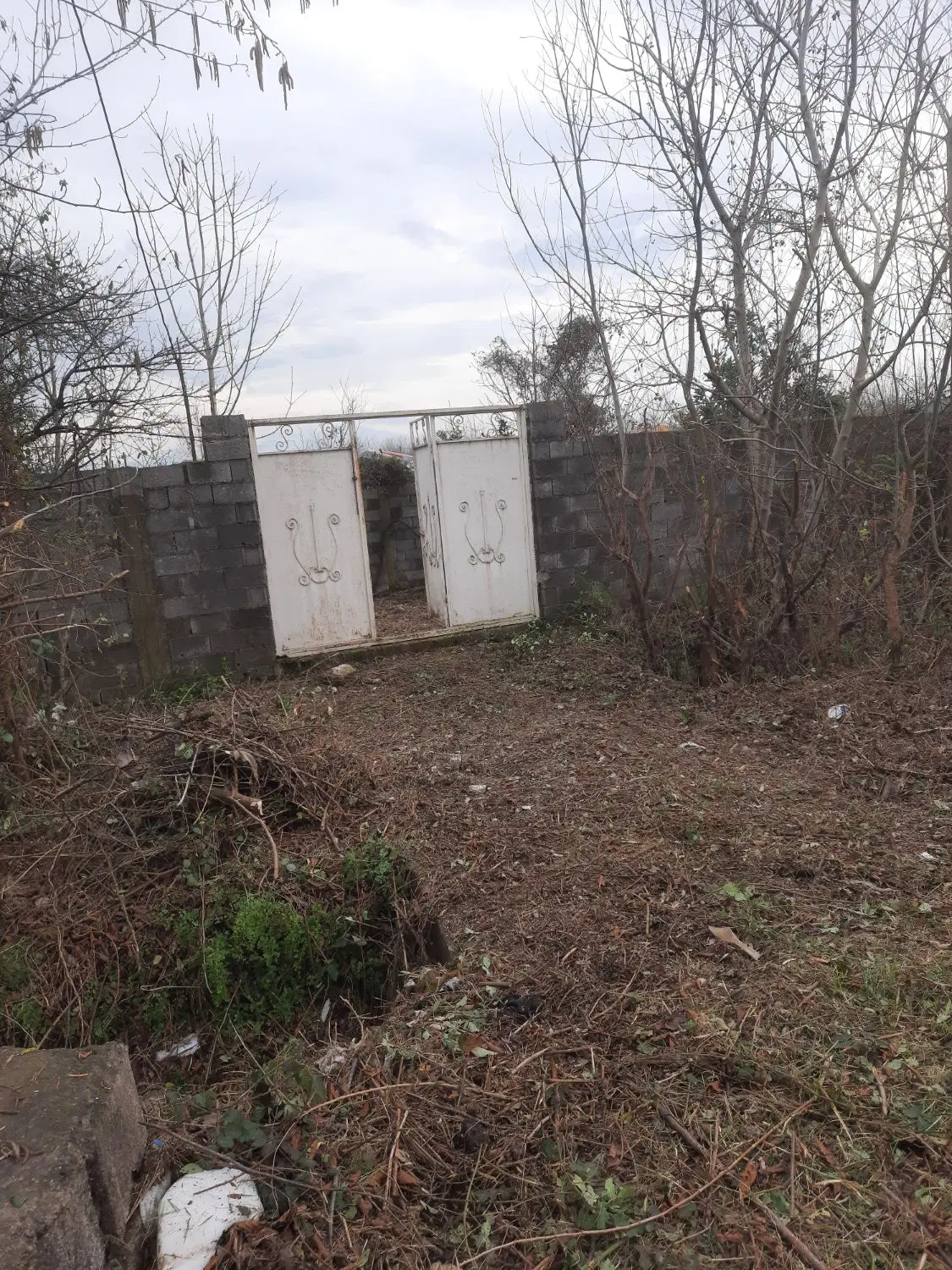 تصویر املاک 126367