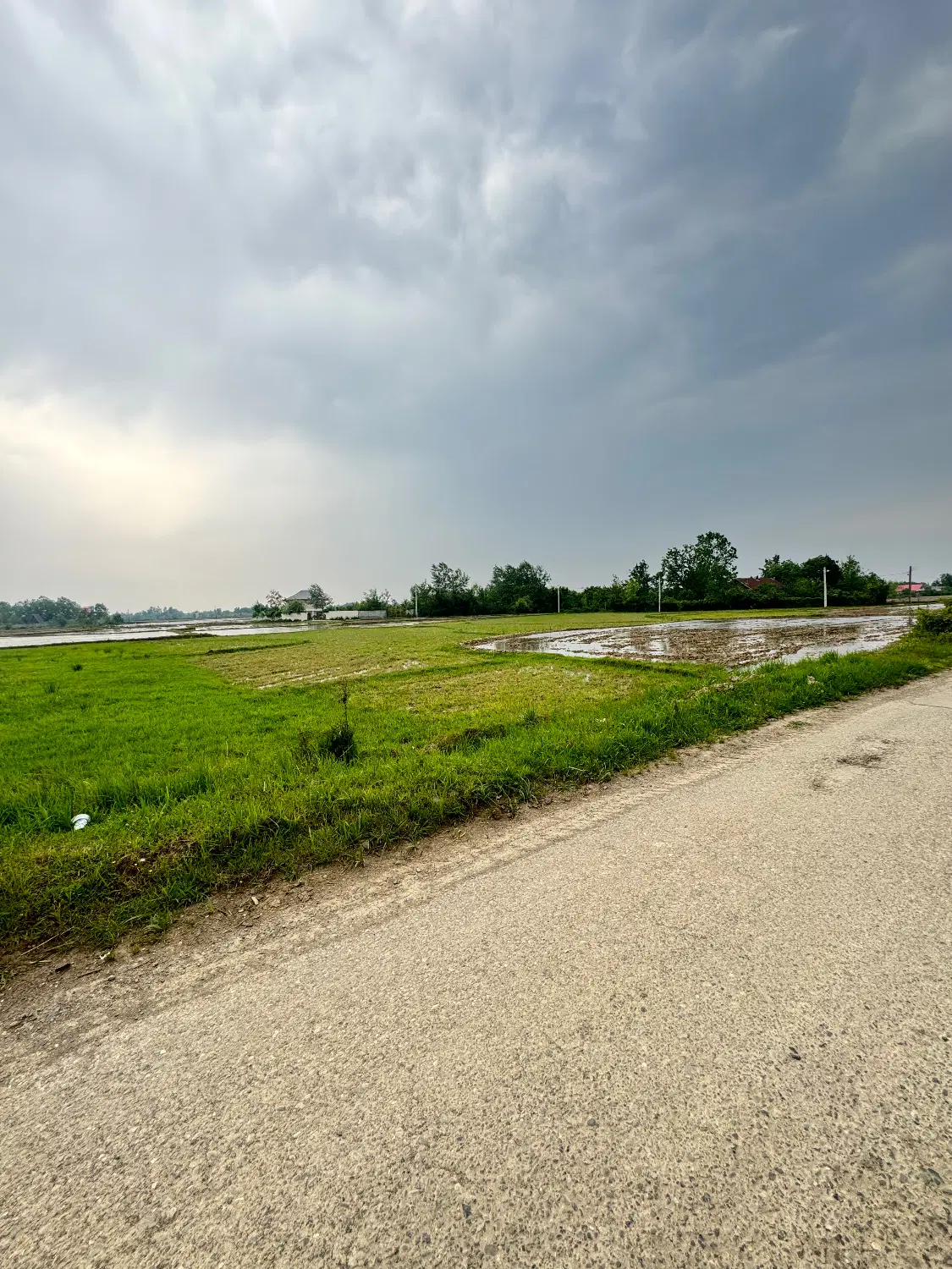 تصویر املاک 45296