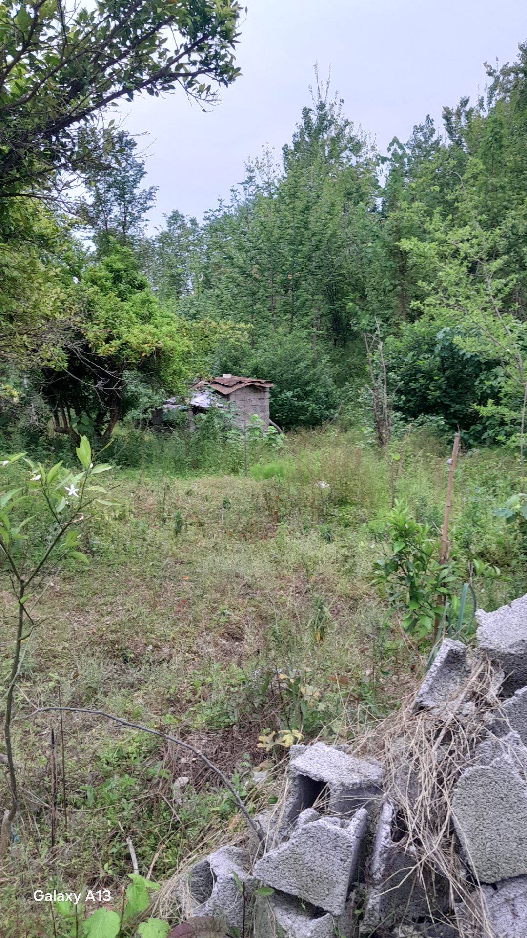 تصویر املاک 37667