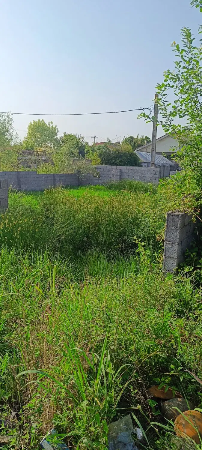 تصویر املاک 89031