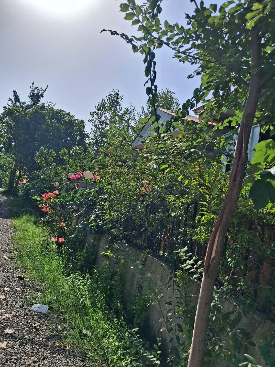 تصویر املاک 136794