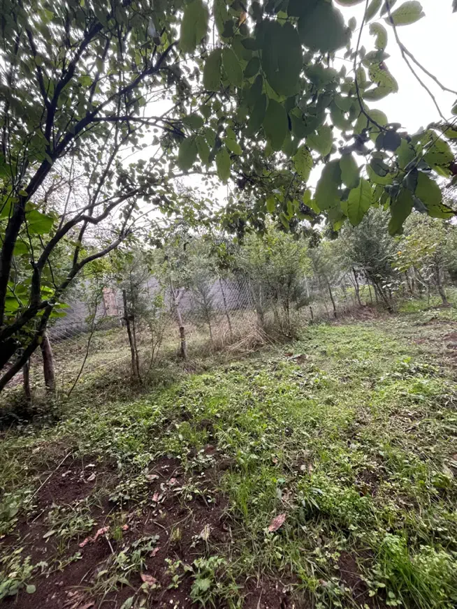 تصویر املاک 8221