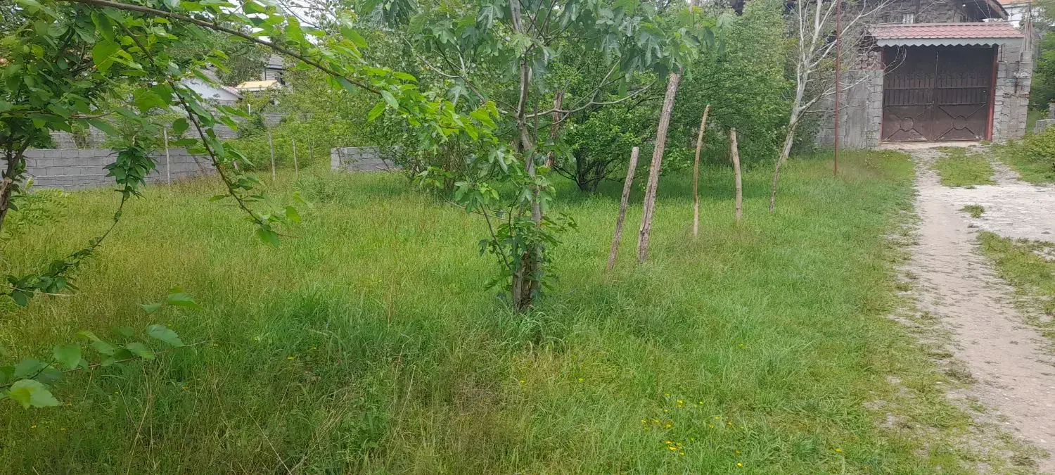 تصویر املاک 36125