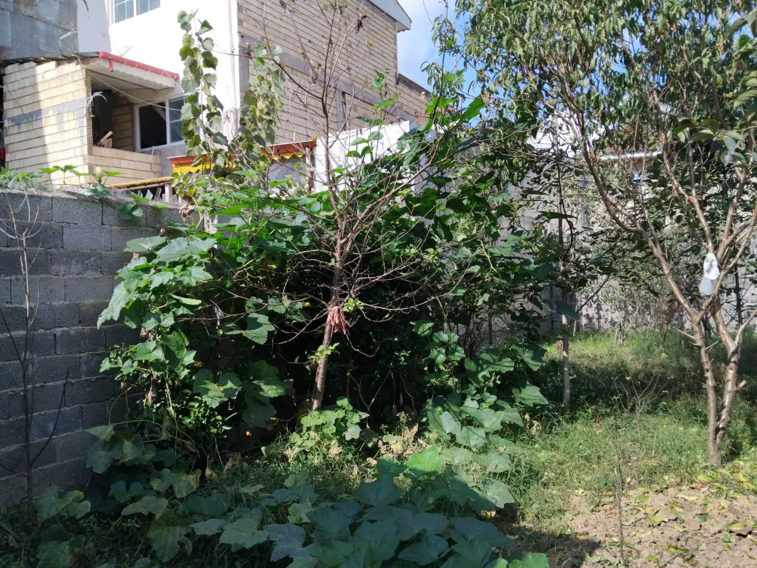 تصویر املاک 7350