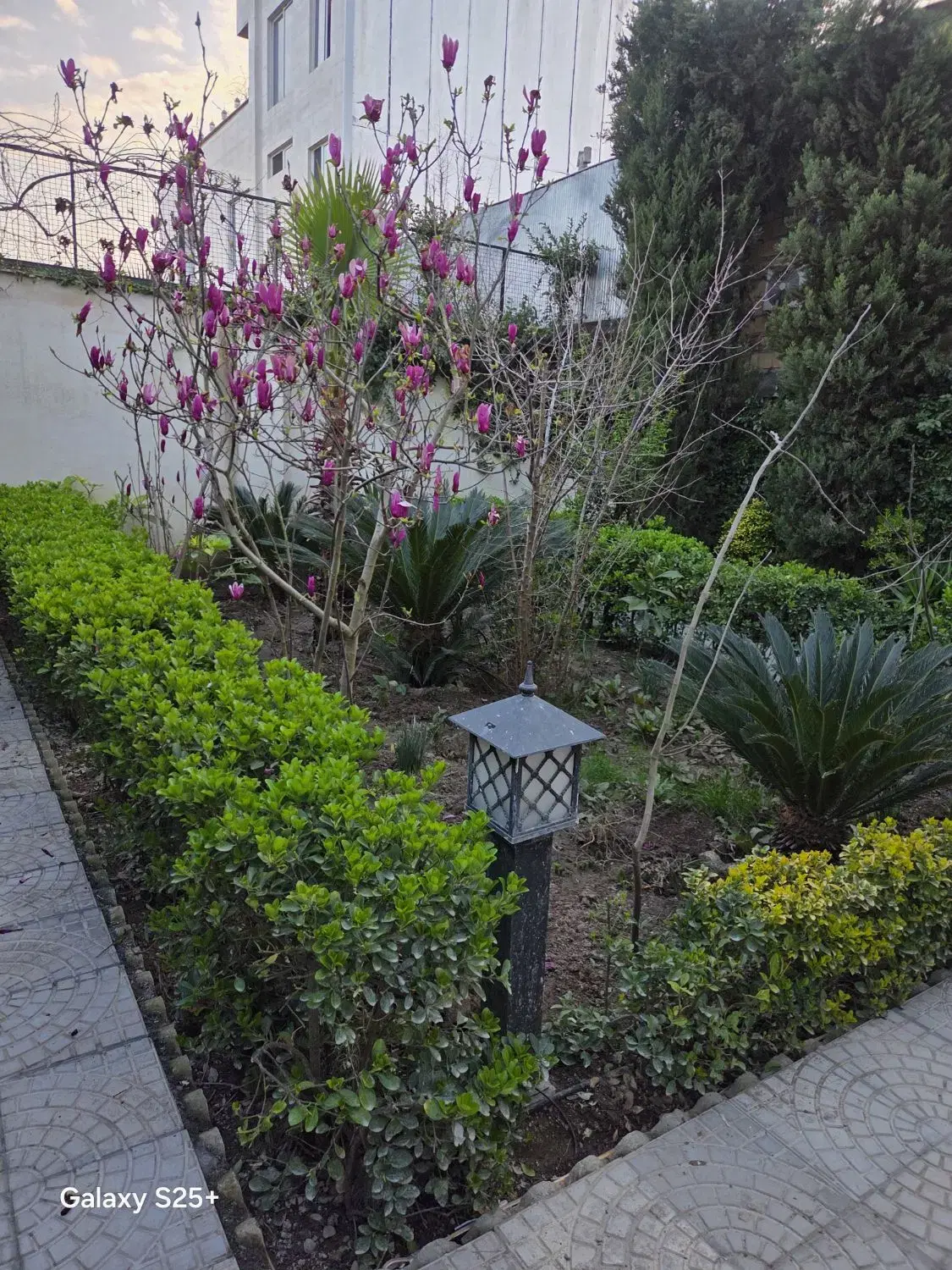 تصویر املاک 60617
