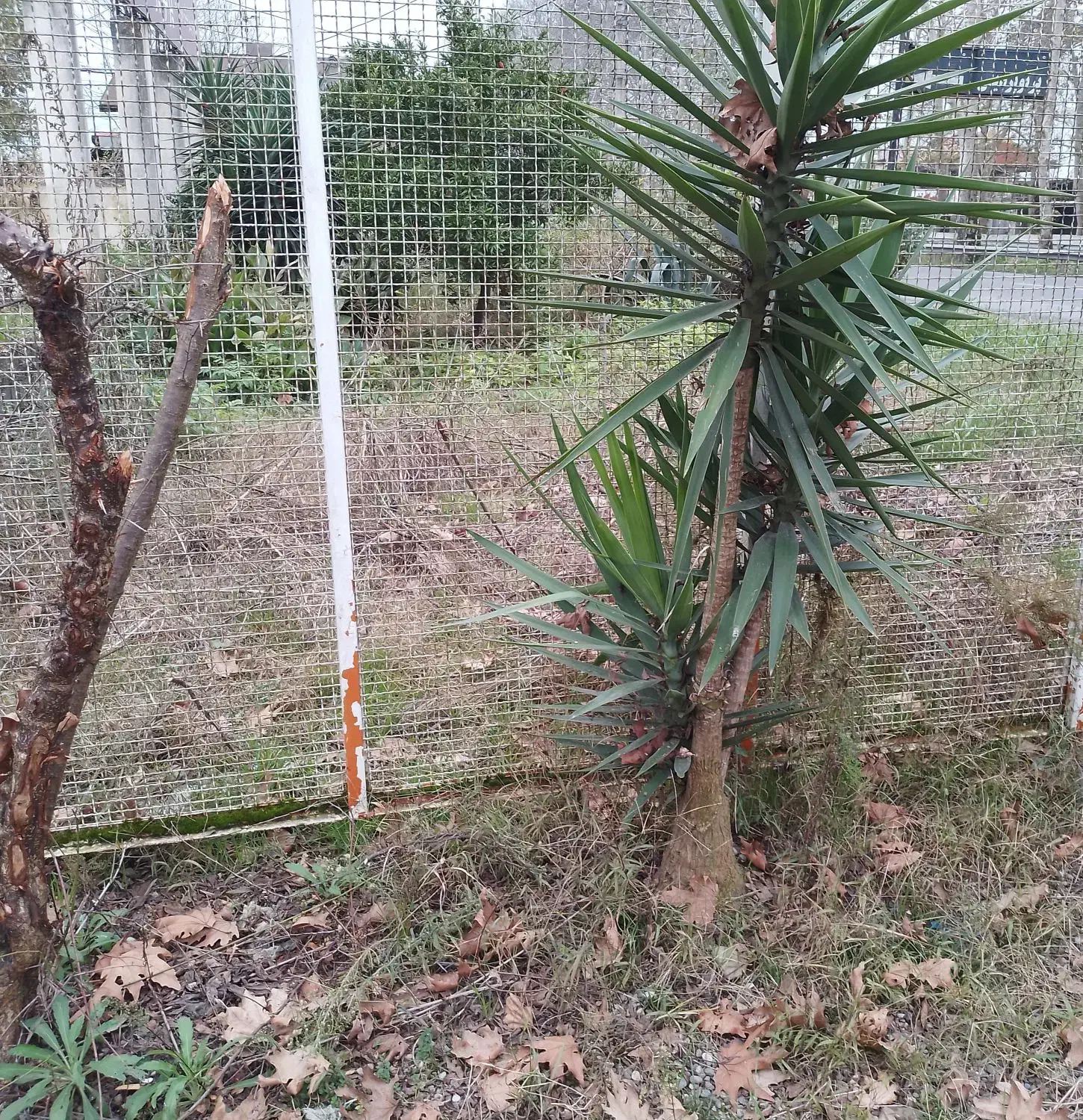 تصویر املاک 12223