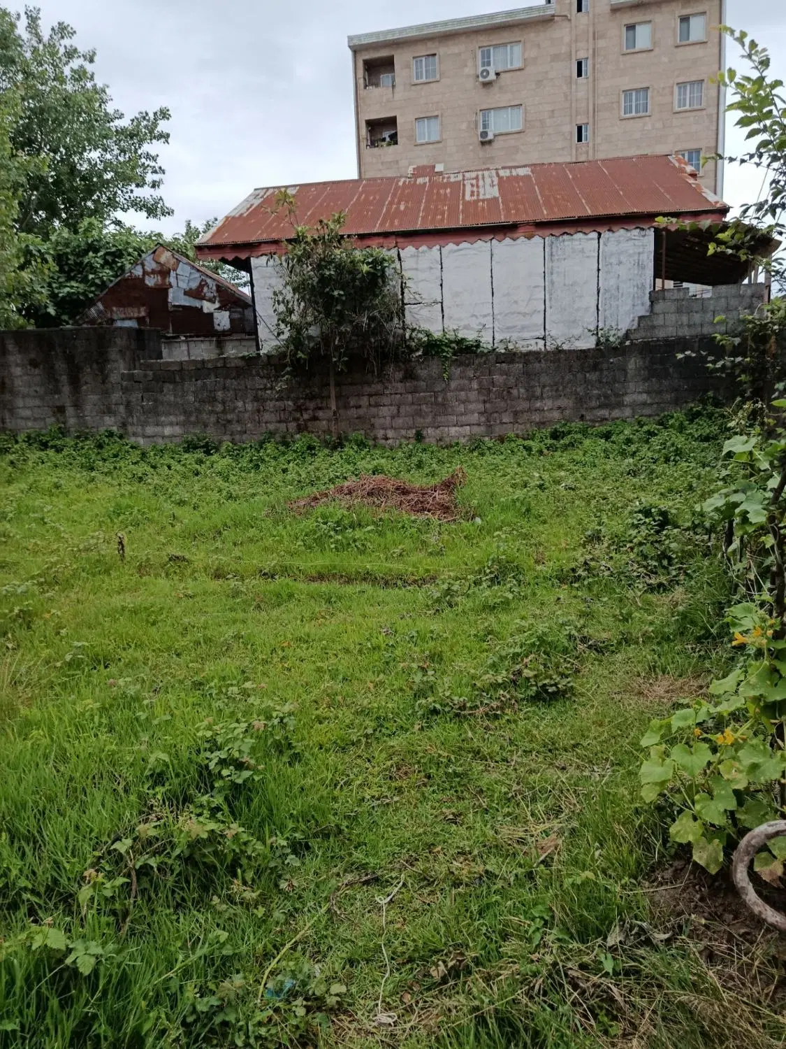 تصویر املاک 136312