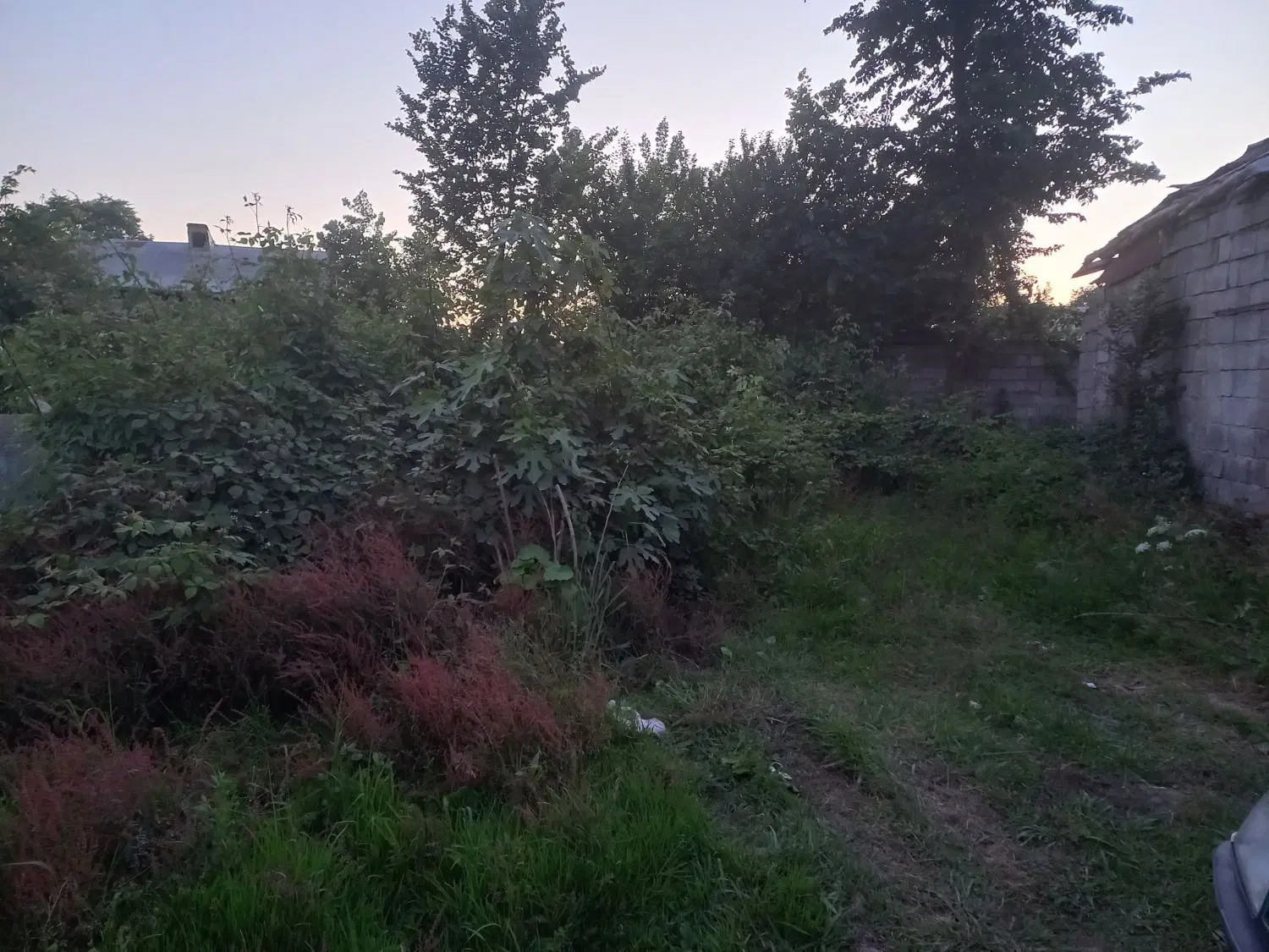 تصویر املاک 103997