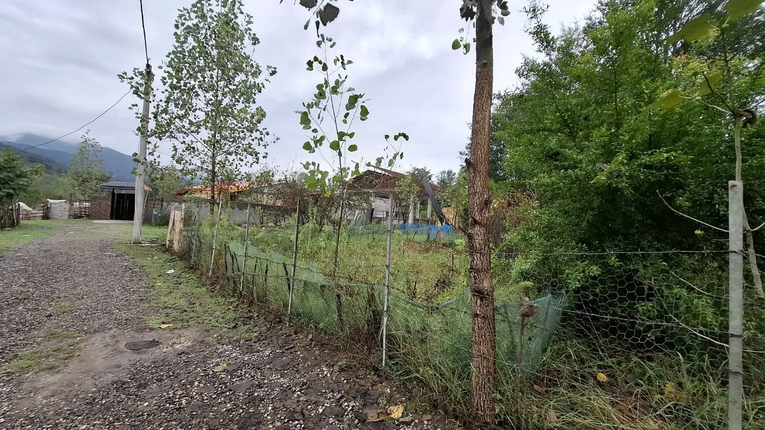 تصویر املاک 136545