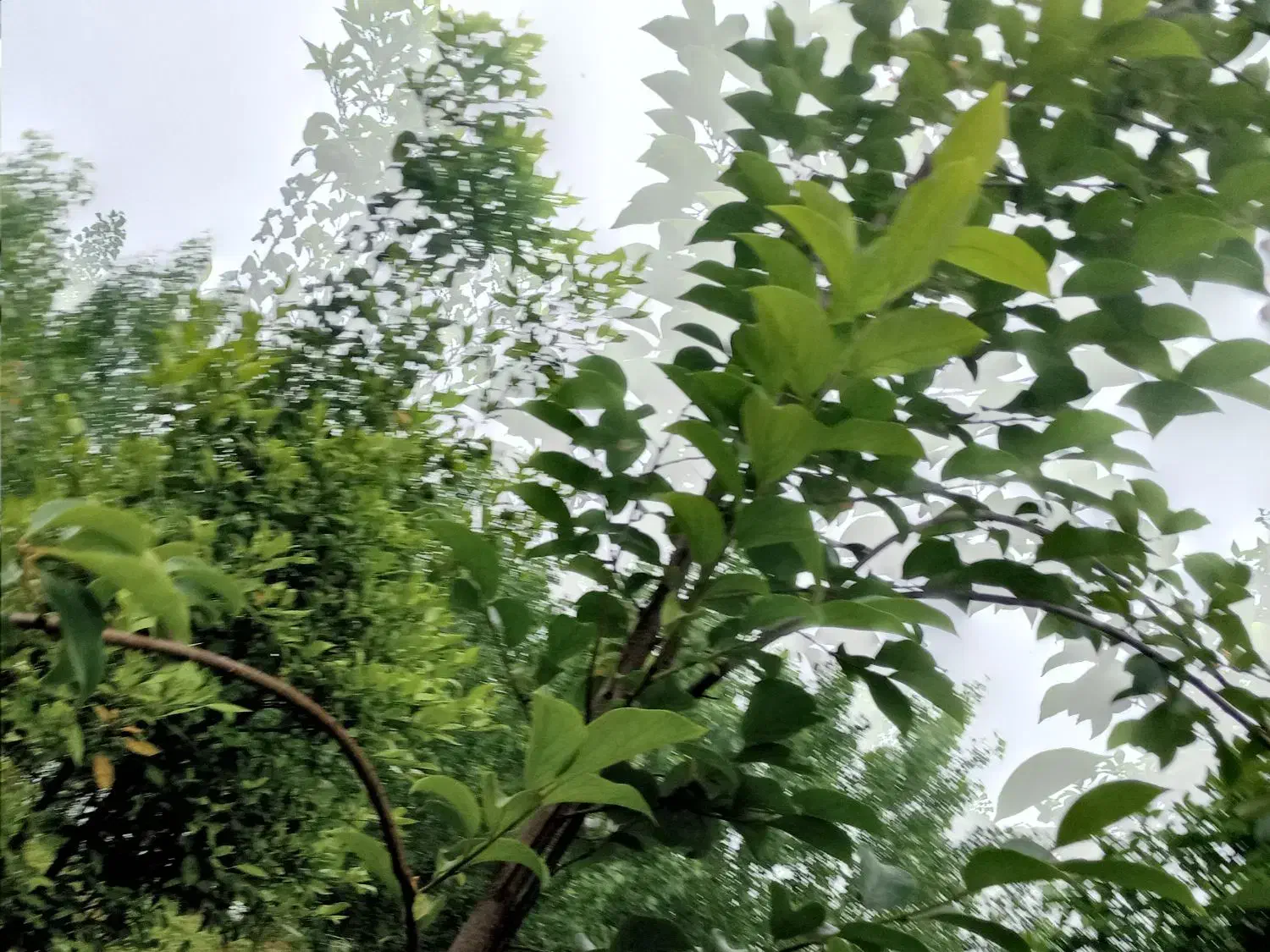 تصویر املاک 6690