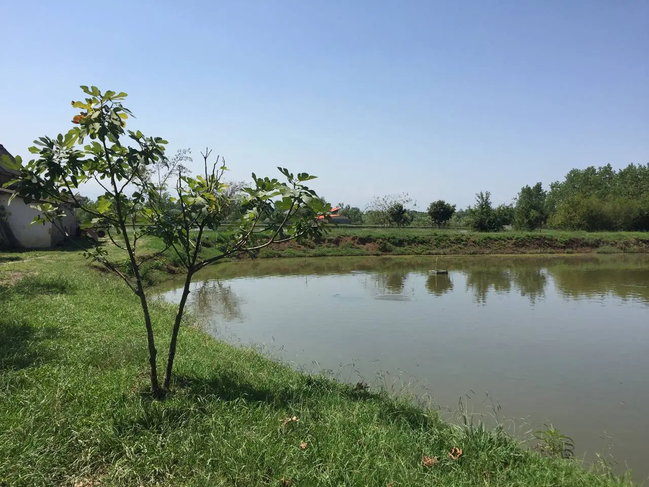 تصویر املاک 81847