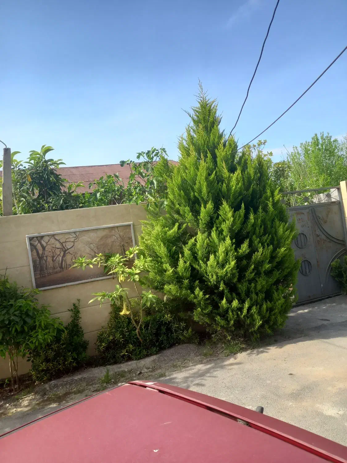 تصویر املاک 36989