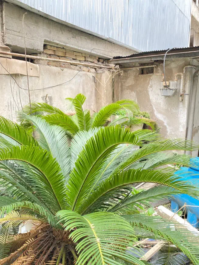 تصویر املاک 20743