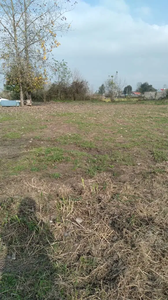 تصویر املاک 87215