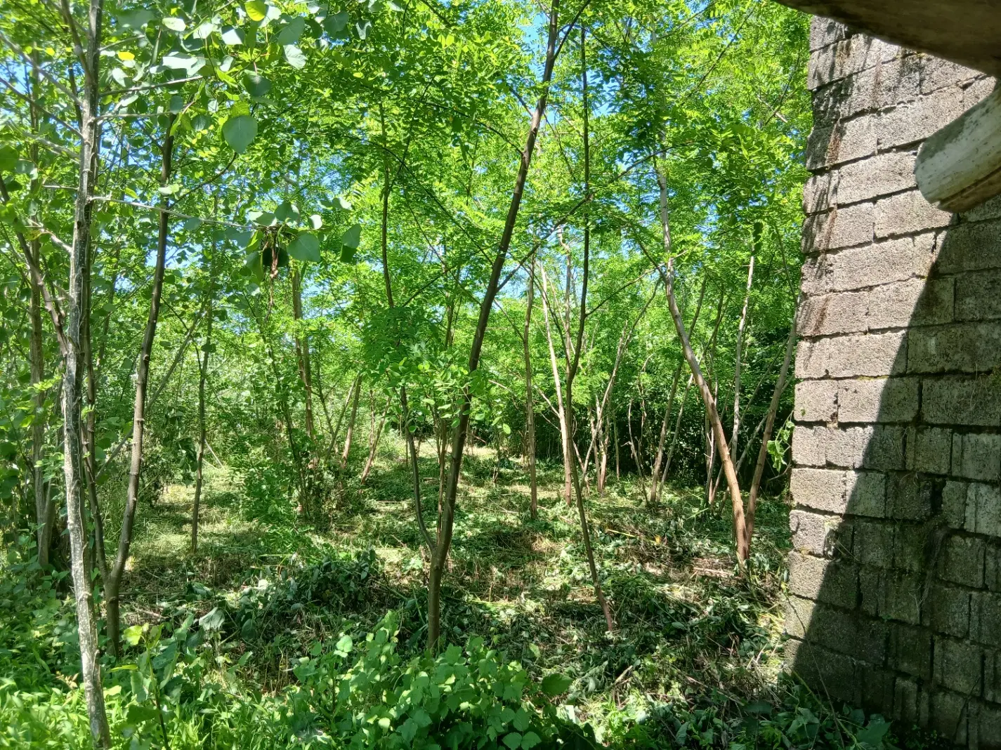 تصویر املاک 131475