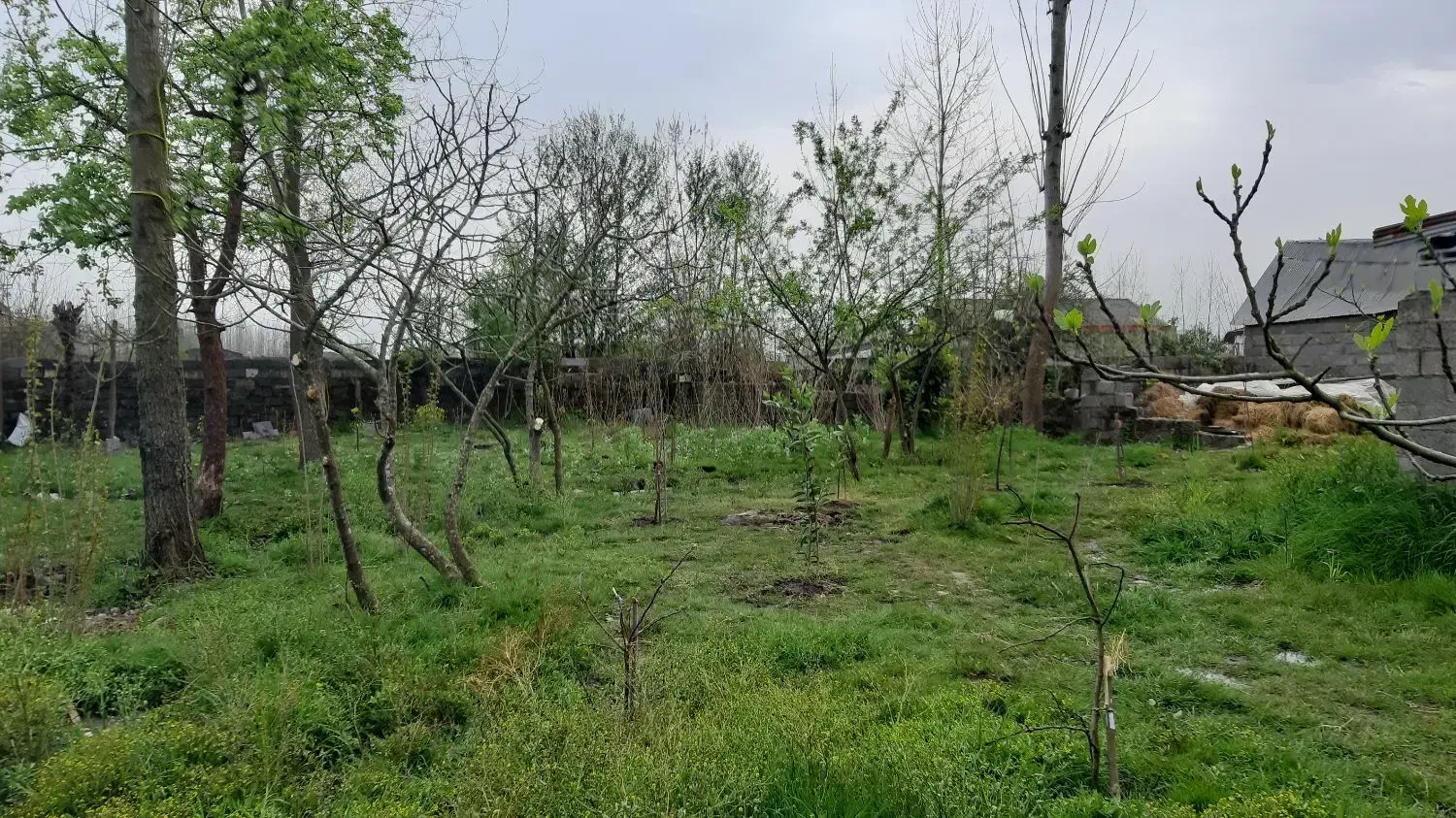 تصویر املاک 34798