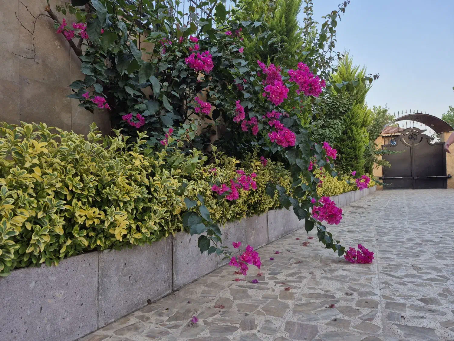 تصویر املاک 5595