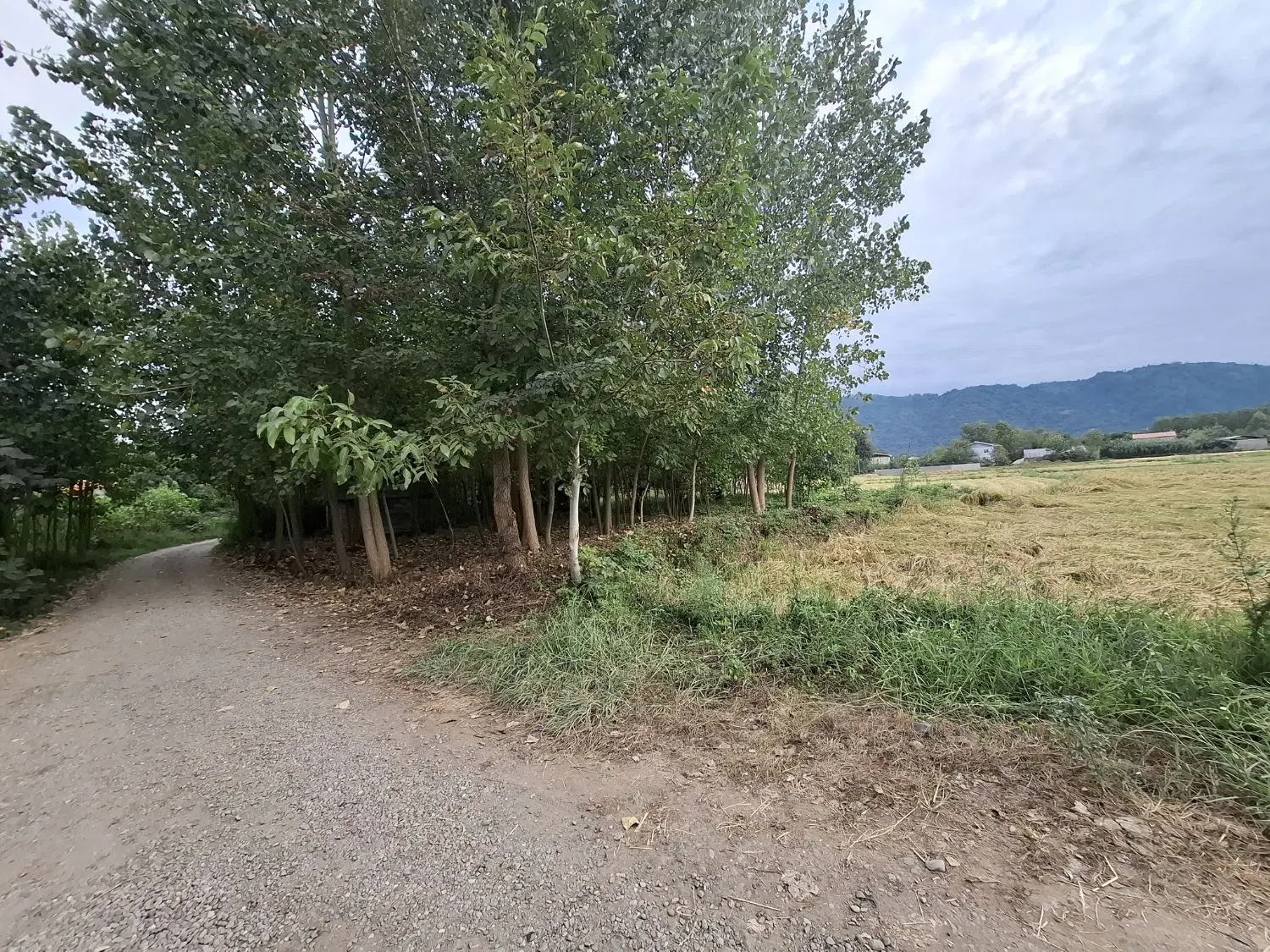 تصویر املاک 107744