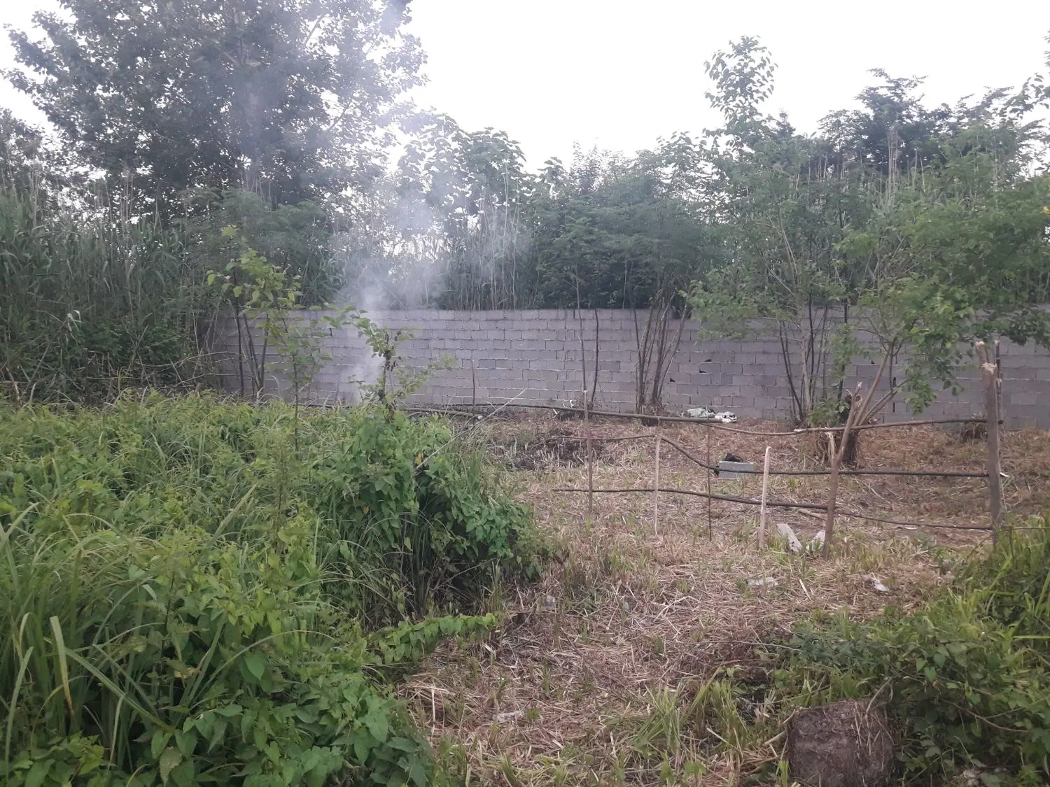 تصویر املاک 110991