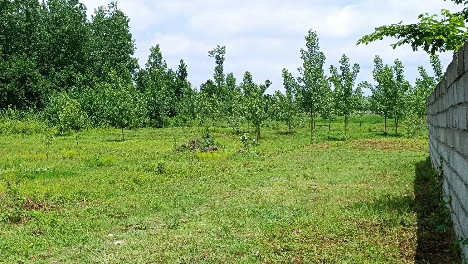 تصویر املاک 35294