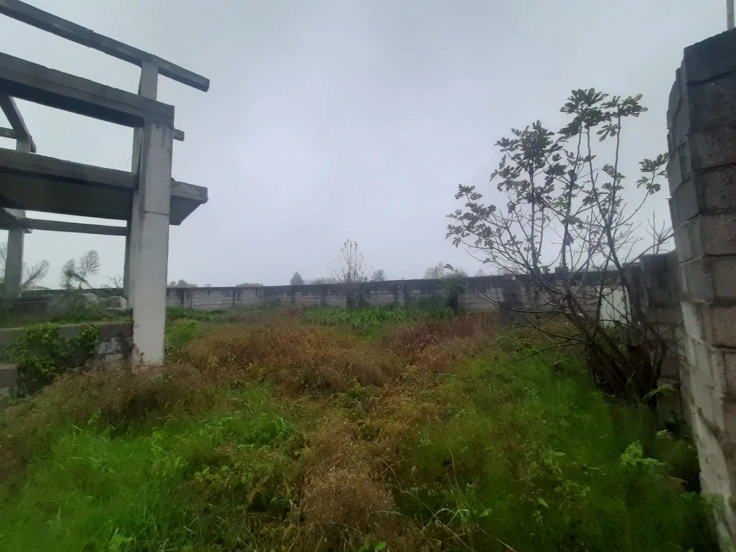 تصویر املاک 56142