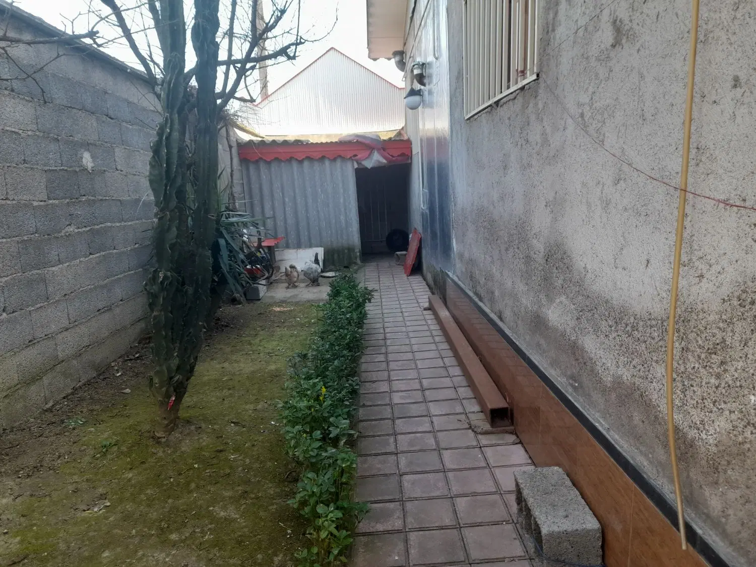 تصویر املاک 93732