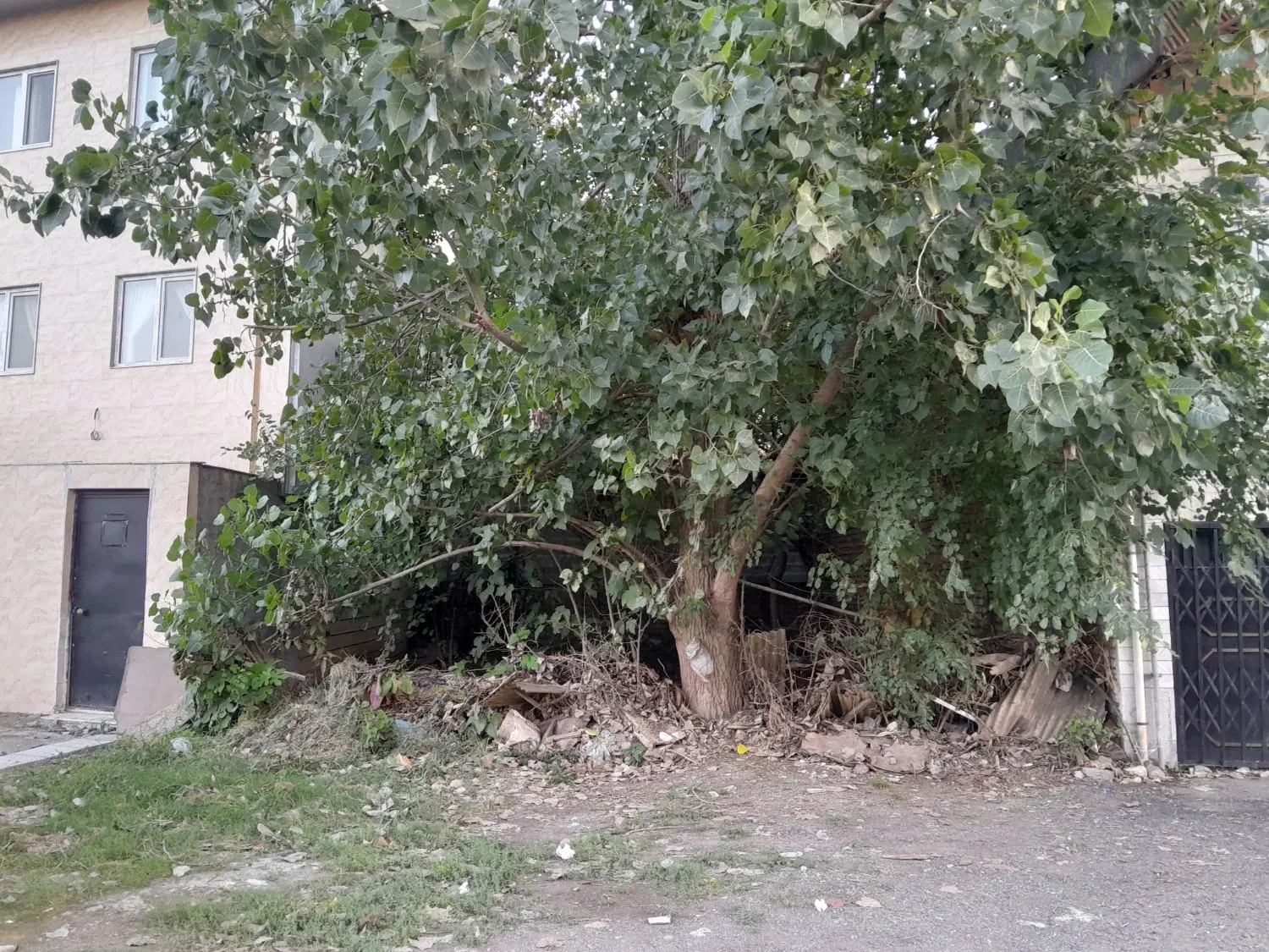 تصویر املاک 135275