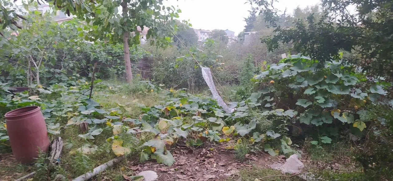 تصویر املاک 121118