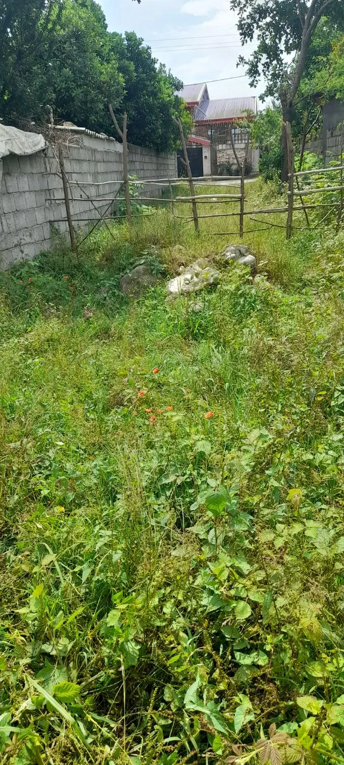 تصویر املاک 44432