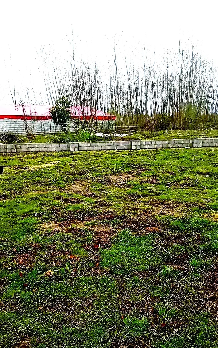 تصویر املاک 35198
