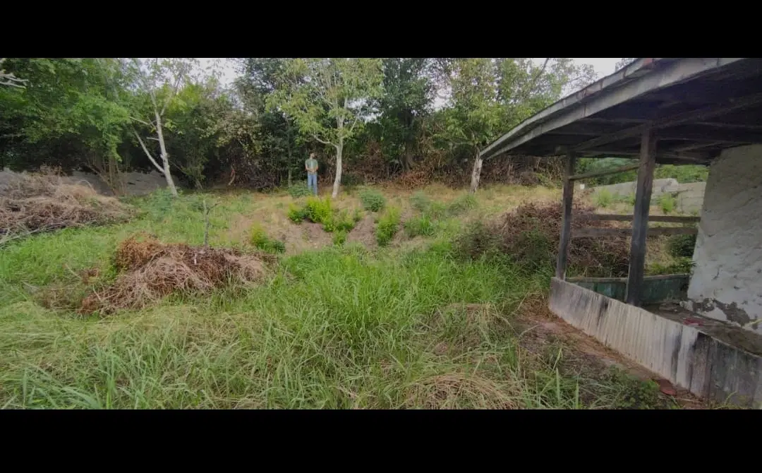 تصویر املاک 103353