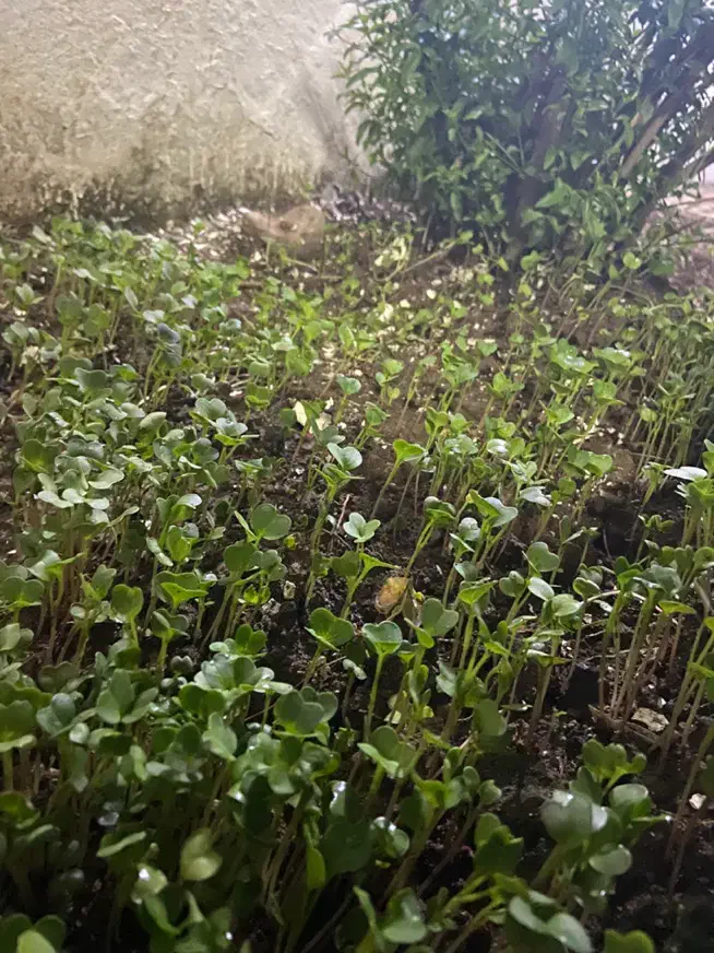 تصویر املاک 18495
